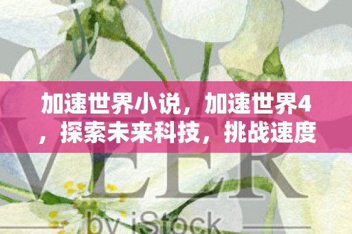 加速世界小说，加速世界4，探索未来科技，挑战速度极限