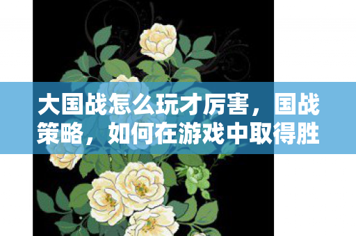 大国战怎么玩才厉害，国战策略，如何在游戏中取得胜利