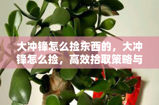 大冲锋怎么捡东西的,大冲锋怎么捡,高效拾取策略与技巧 大冲锋怎么捡东西的,大冲锋怎么捡,高效拾取策略与技巧