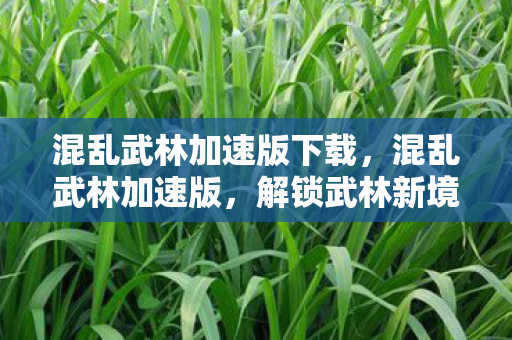 混乱武林加速版下载，混乱武林加速版，解锁武林新境界，体验极致战斗快感