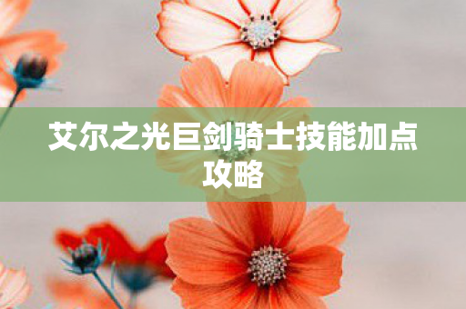 艾尔之光巨剑骑士技能加点攻略