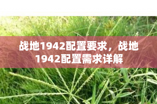 战地1942配置要求，战地1942配置需求详解