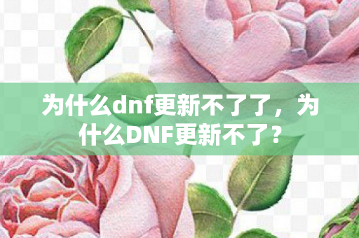 为什么dnf更新不了了，为什么DNF更新不了？
