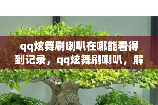 qq炫舞刷喇叭在哪能看得到记录，qq炫舞刷喇叭，解锁游戏新体验，打造个性喇叭秀