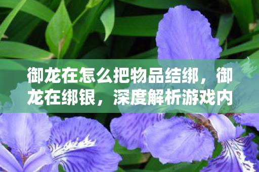御龙在怎么把物品结绑,御龙在绑银,深度解析游戏内经济系统 御龙在怎么把物品结绑,御龙在绑银,深度解析游戏内经济系统