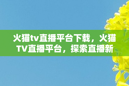 火猫tv直播平台下载，火猫TV直播平台，探索直播新世界的无限可能