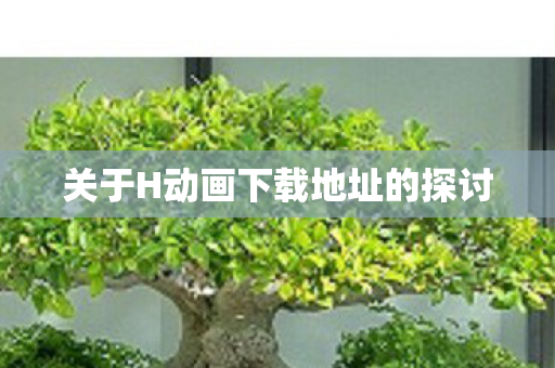 关于H动画下载地址的探讨 关于H动画下载地址的探讨