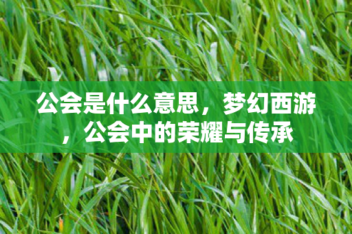公会是什么意思，梦幻西游，公会中的荣耀与传承