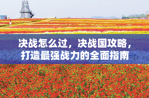 决战怎么过，决战国攻略，打造最强战力的全面指南