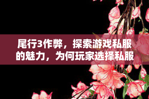 尾行3作弊，探索游戏私服的魅力，为何玩家选择私服？