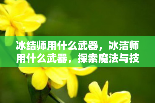 冰结师用什么武器，冰洁师用什么武器，探索魔法与技术的完美融合