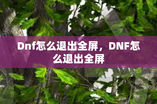Dnf怎么退出全屏，DNF怎么退出全屏