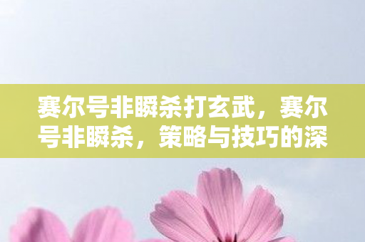 赛尔号非瞬杀打玄武，赛尔号非瞬杀，策略与技巧的深度剖析