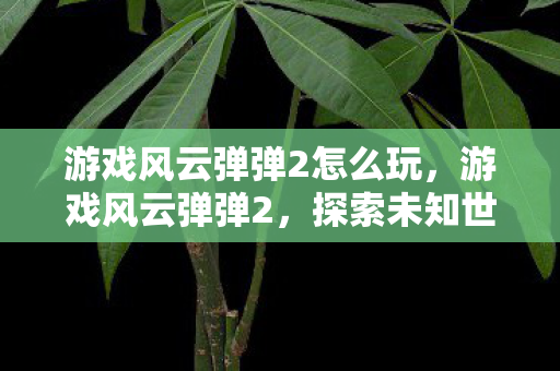 游戏风云弹弹2怎么玩，游戏风云弹弹2，探索未知世界的奇妙之旅