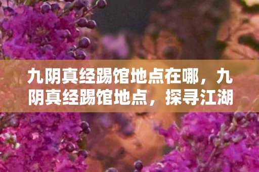 九阴真经踢馆地点在哪,九阴真经踢馆地点,探寻江湖中的武林圣地 九阴真经踢馆地点在哪,九阴真经踢馆地点,探寻江湖中的武林圣地