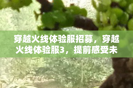 穿越火线体验服招募，穿越火线体验服3，提前感受未来战场