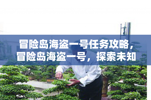 冒险岛海盗一号任务攻略，冒险岛海盗一号，探索未知海域的传奇之旅