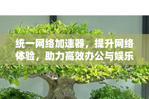 统一网络加速器，提升网络体验，助力高效办公与娱乐
