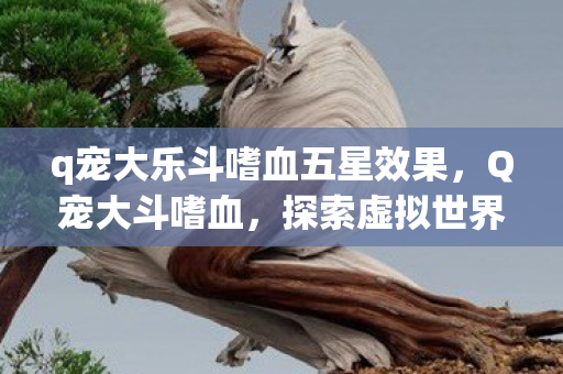 q宠大乐斗嗜血五星效果，Q宠大斗嗜血，探索虚拟世界的战斗激情