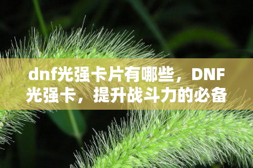 dnf光强卡片有哪些,DNF光强卡,提升战斗力的必备神器 dnf光强卡片有哪些,DNF光强卡,提升战斗力的必备神器