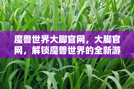 魔兽世界大脚官网,大脚官网,解锁魔兽世界的全新游戏体验 魔兽世界大脚官网,大脚官网,解锁魔兽世界的全新游戏体验