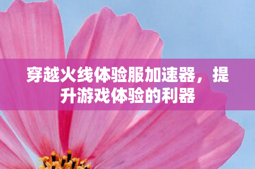 穿越火线体验服加速器，提升游戏体验的利器