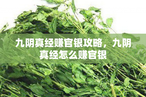 九阴真经赚官银攻略,九阴真经怎么赚官银 九阴真经赚官银攻略,九阴真经怎么赚官银