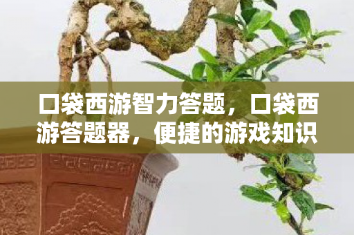 口袋西游智力答题，口袋西游答题器，便捷的游戏知识获取工具