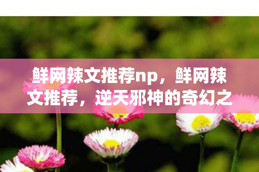 鲜网辣文推荐np，鲜网辣文推荐，逆天邪神的奇幻之旅