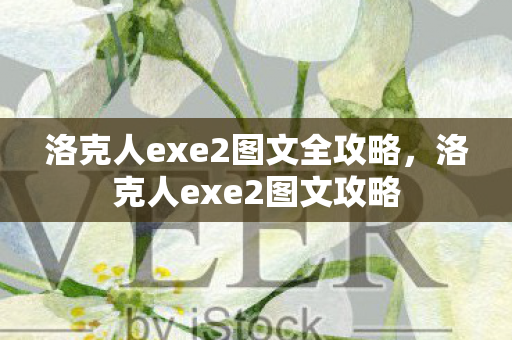 洛克人exe2图文全攻略，洛克人exe2图文攻略