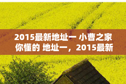 2015最新地址一 小曹之家 你懂的 地址一，2015最新地址，探索数字世界的未知领域