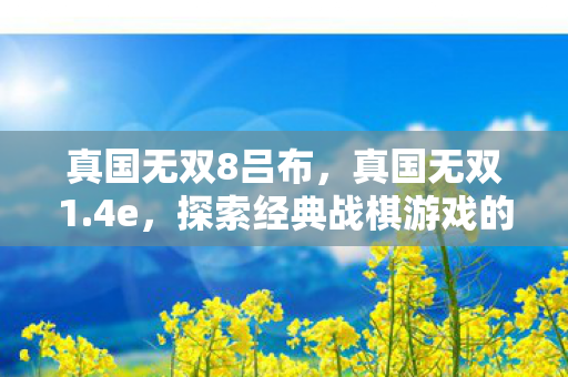 真国无双8吕布,真国无双1.4e,探索经典战棋游戏的深度与魅力 真国无双8吕布,真国无双1.4e,探索经典战棋游戏的深度与魅力
