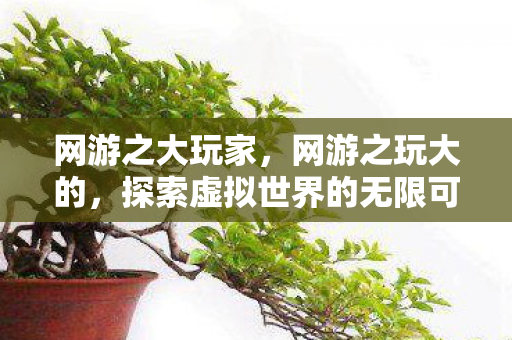 网游之大玩家，网游之玩大的，探索虚拟世界的无限可能