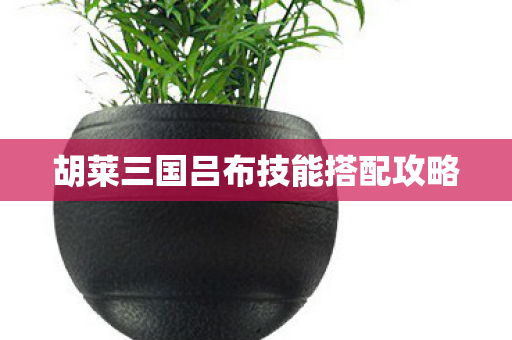 胡莱三国吕布技能搭配攻略