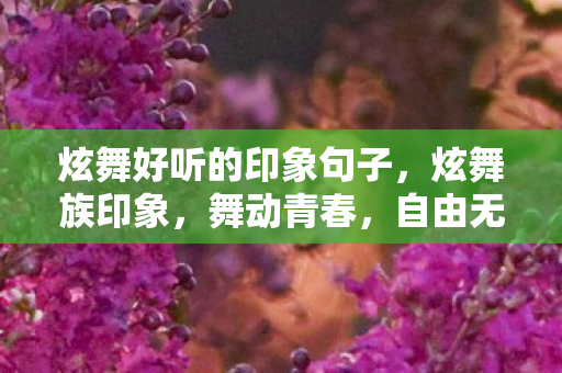 炫舞好听的印象句子，炫舞族印象，舞动青春，自由无界