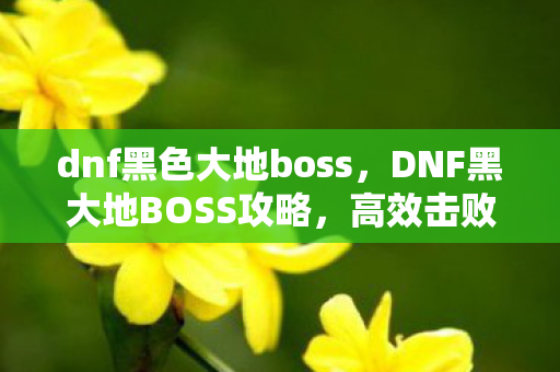 dnf黑色大地boss，DNF黑大地BOSS攻略，高效击败挑战