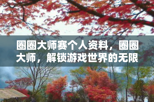 圈圈大师赛个人资料，圈圈大师，解锁游戏世界的无限可能