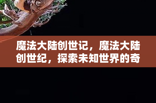 魔法大陆创世记，魔法大陆创世纪，探索未知世界的奇幻之旅
