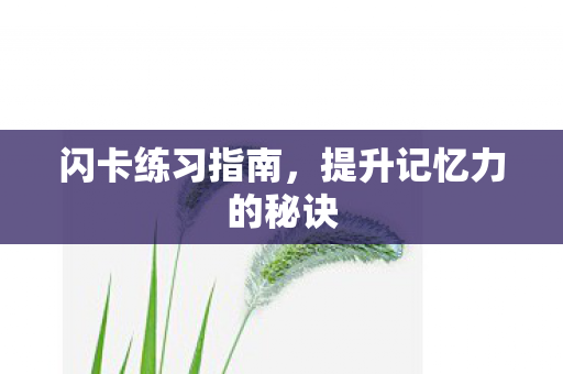 闪卡练习指南，提升记忆力的秘诀