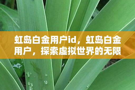 虹岛白金用户id，虹岛白金用户，探索虚拟世界的无限可能