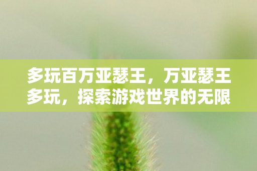 多玩百万亚瑟王，万亚瑟王多玩，探索游戏世界的无限可能