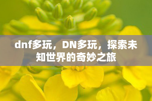 dnf多玩,DN多玩,探索未知世界的奇妙之旅 dnf多玩,DN多玩,探索未知世界的奇妙之旅