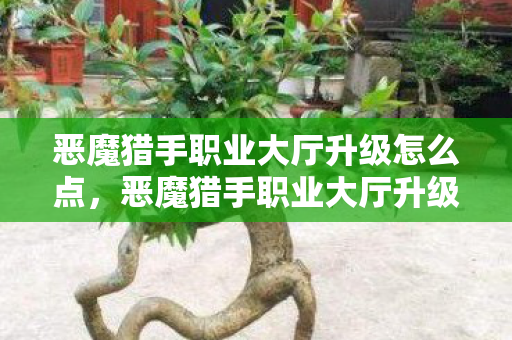 恶魔猎手职业大厅升级怎么点，恶魔猎手职业大厅升级，探索全新游戏世界的奇妙之旅