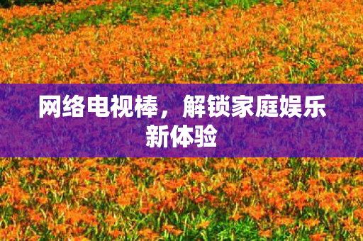 网络电视棒，解锁家庭娱乐新体验