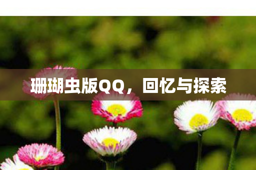 珊瑚虫版QQ，回忆与探索