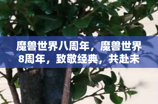魔兽世界八周年,魔兽世界8周年,致敬经典,共赴未来 魔兽世界八周年,魔兽世界8周年,致敬经典,共赴未来