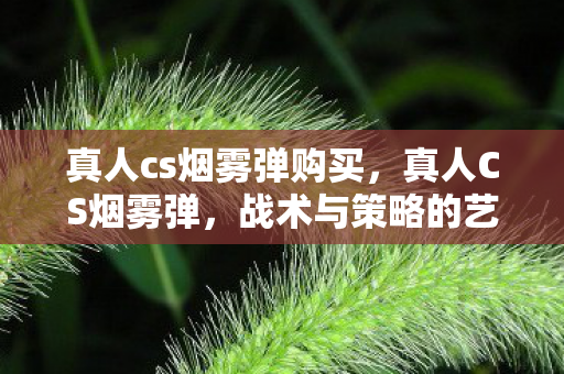 真人cs烟雾弹购买，真人CS烟雾弹，战术与策略的艺术