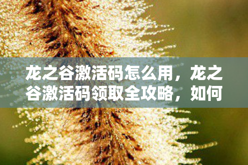 龙之谷激活码怎么用，龙之谷激活码领取全攻略，如何轻松获取官方激活码？