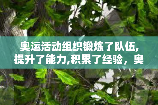 奥运活动组织锻炼了队伍,提升了能力,积累了经验，奥运精神，跨越国界的体育盛事