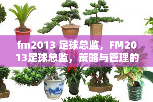fm2013 足球总监,FM2013足球总监,策略与管理的艺术 fm2013 足球总监,FM2013足球总监,策略与管理的艺术